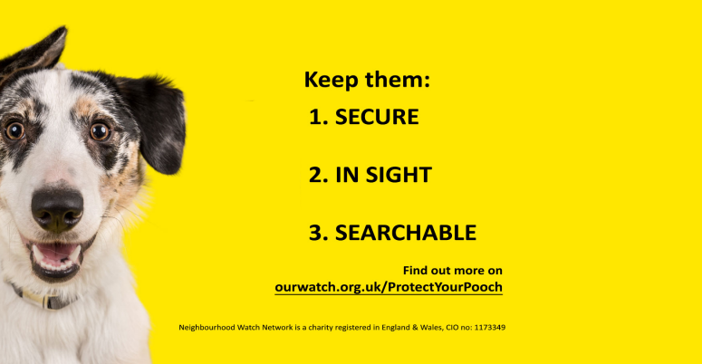 Protect Your Pooch Poster